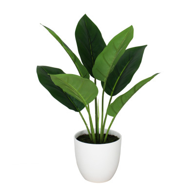 FEUILLES D'ARUM ARTIFICIELLES EN POT, HAUT. 75 CM – PLANTES – Arteverdeco