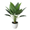 FEUILLES D'ARUM ARTIFICIELLES EN POT, HAUT. 75 CM – PLANTES – Arteverdeco