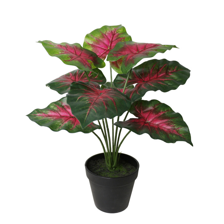 CALADIUM ARTIFICIEL EN POT, HAUT. 35 CM – PLANTES – Arteverdeco