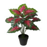 CALADIUM ARTIFICIEL EN POT, HAUT. 40 CM – PLANTES – Arteverdeco