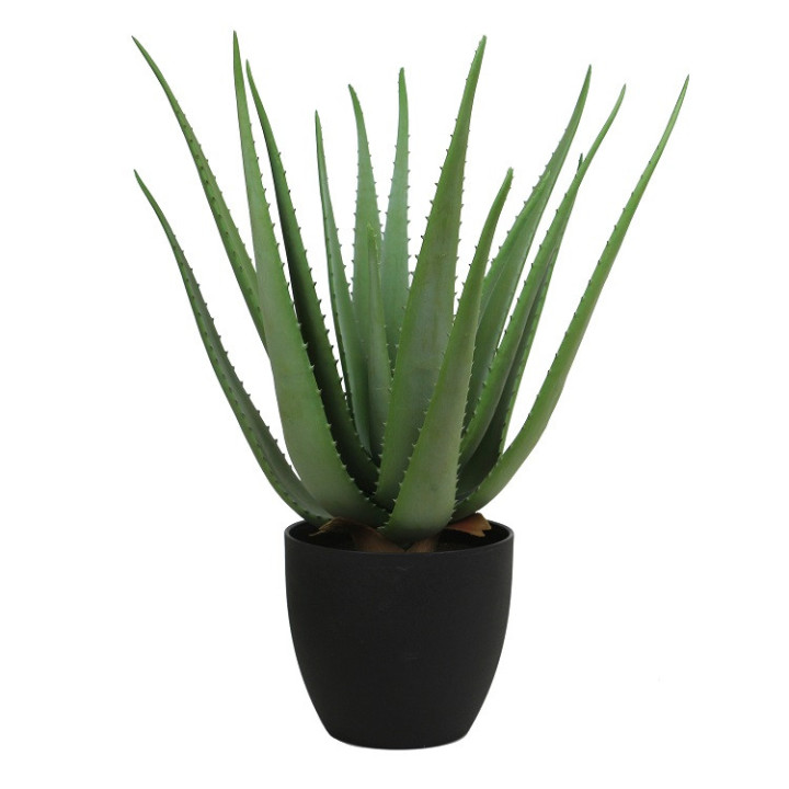 ALOE VERA ARTIFICIEL EN POT, HAUT. 55 CM – PLANTES – Arteverdeco