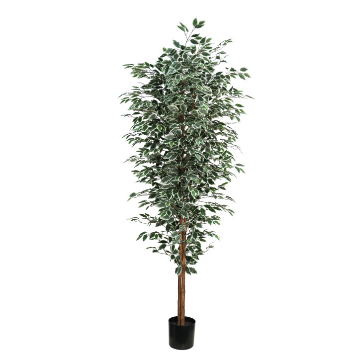 FICUS ARTIFICIEL EN POT, HAUT. 210 CM – ARBRES – Arteverdeco