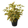 PLANTES VERTES ARTIFICIELLES EN POT, HAUT. 36 CM – PLANTES – Arteverdeco