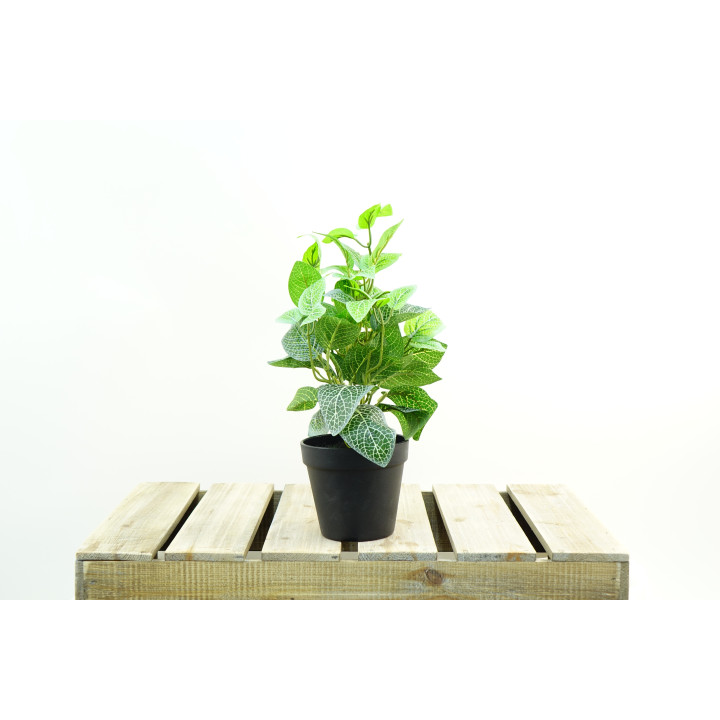 PLANTES VERTES ARTIFICIELLES EN POT, HAUT. 36 CM – PLANTES – Arteverdeco