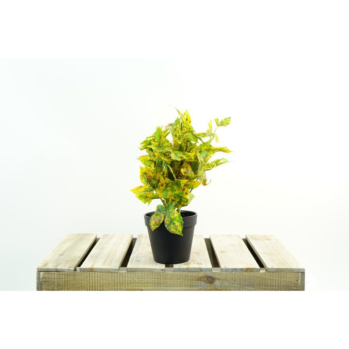 PLANTES VERTES ARTIFICIELLES EN POT, HAUT. 36 CM – PLANTES – Arteverdeco