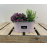 JARDINIERE ZINC AVEC ETIQUETTE "NATURE" - VENDU EN CARTON DE 60 PCS - COLORIS ASSORTIS – CONTENANTS – Arteverdeco