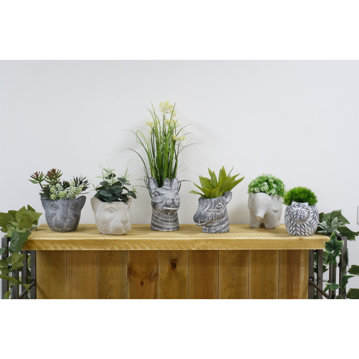 POT CIMENT TETE DE ZEBRE - VENDU EN CARTON DE 6 PCS – CONTENANTS – Arteverdeco