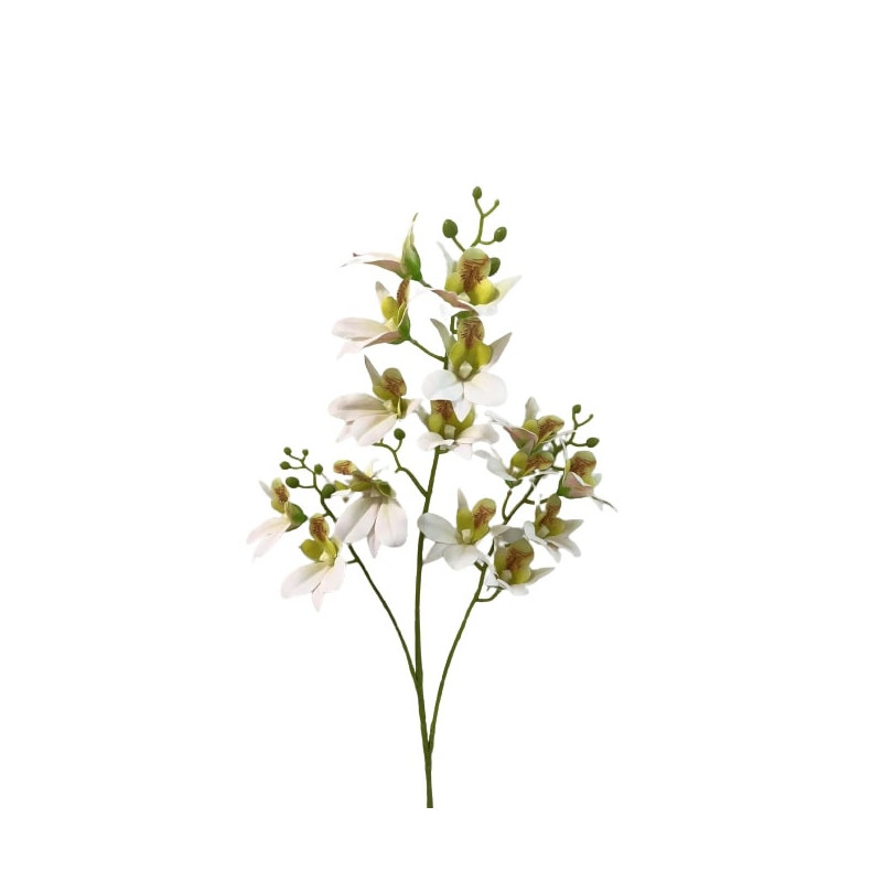 TIGE D'ORCHIDEE DENDROBIUM, HAUT. 79 CM – FLEURS – Arteverdeco