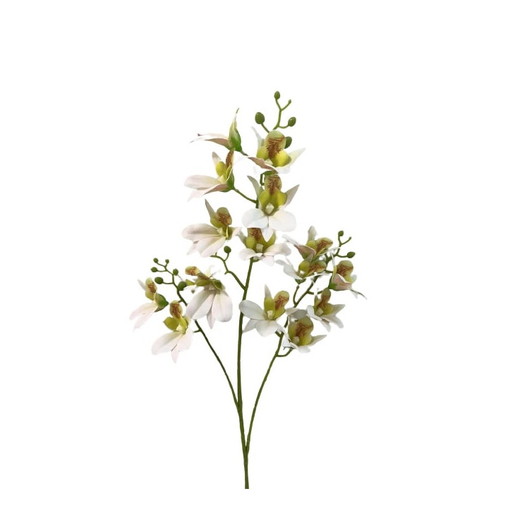 TIGE D'ORCHIDEE DENDROBIUM, HAUT. 79 CM – FLEURS – Arteverdeco