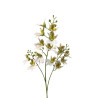 TIGE D'ORCHIDEE DENDROBIUM, HAUT. 79 CM – FLEURS – Arteverdeco