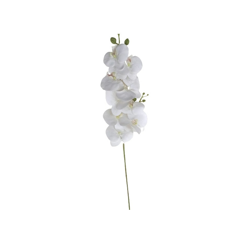 TIGE D'ORCHIDEE, HAUT. 99 CM – FLEURS – Arteverdeco