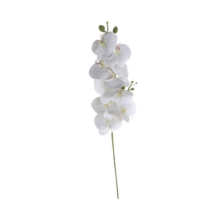 TIGE D'ORCHIDEE, HAUT. 99 CM – FLEURS – Arteverdeco