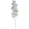 TIGE D'ORCHIDEE, HAUT. 99 CM – FLEURS – Arteverdeco