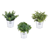 PLANTES VERTES ARTIFICIELLES EN POT ZINC, HAUT. 18 à 21 CM – DECORATIONS – Arteverdeco