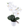 ORCHIDEE ARTIFICIELLE EN POT, HAUT. 31 CM – DECORATIONS – Arteverdeco