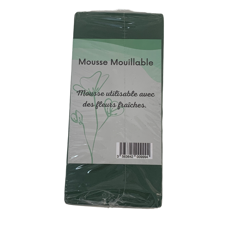 MOUSSE MOUILLABLE RECTANGUALIRE x2 – DECORATIONS – Arteverdeco