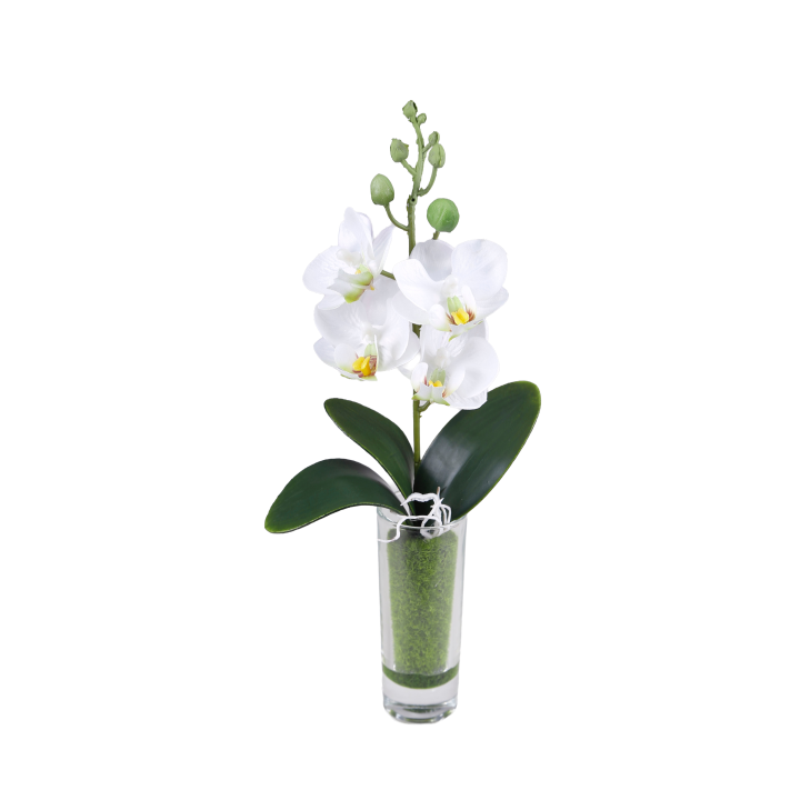 ORCHIDEE ARTIFICIELLE VASE VERRE, HAUT. 27 CM – DECORATIONS – Arteverdeco