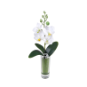 ORCHIDEE ARTIFICIELLE VASE VERRE, HAUT. 27 CM – DECORATIONS – Arteverdeco