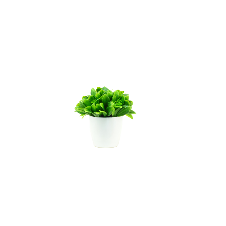 PLANTES VERTES ARTIFICIELLES EN POT, HAUT. 12.5 CM – DECORATIONS – Arteverdeco