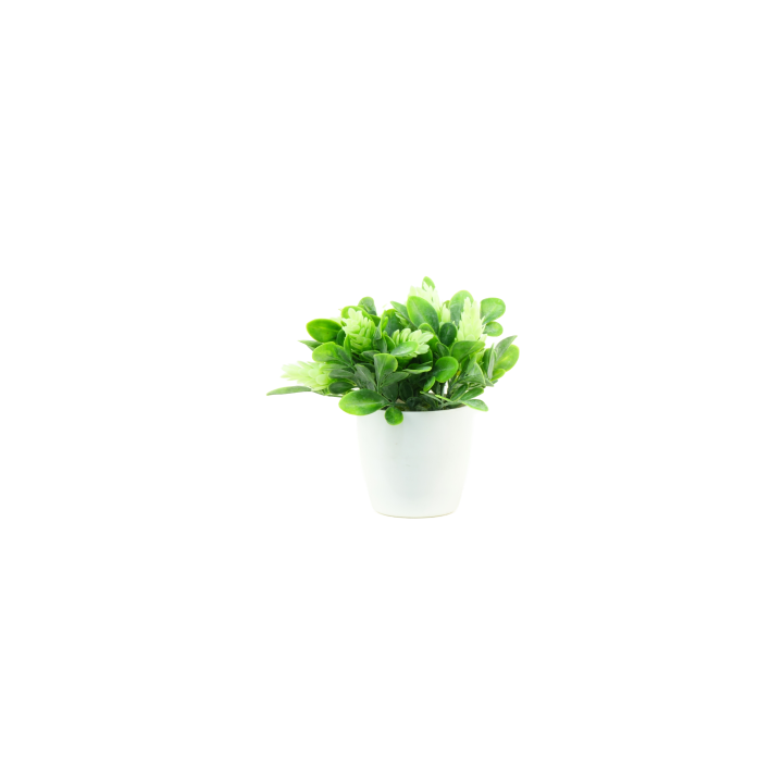 PLANTES VERTES ARTIFICIELLES EN POT, HAUT. 12.5 CM – DECORATIONS – Arteverdeco