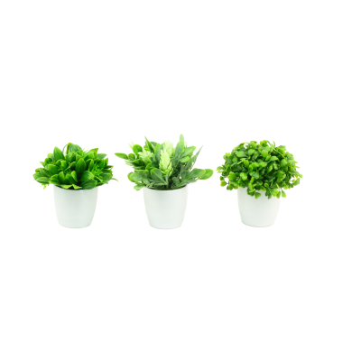 PETITES PLANTES VERTES artificiel – Arteverdeco