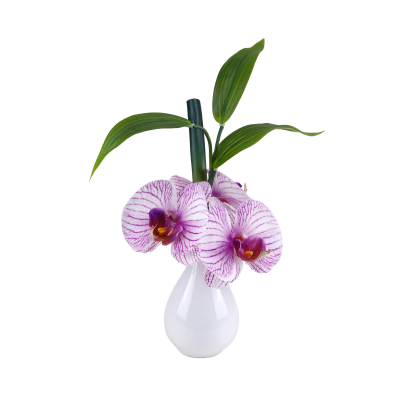 ORCHIDEE ARTIFICIELLE VASE VERRE, HAUT. 27 CM – DECORATIONS – Arteverdeco