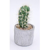 CACTUS ARTIFICIELS EN POT, HAUT. 22 à 26 CM – DECORATIONS – Arteverdeco