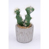 CACTUS ARTIFICIELS EN POT, HAUT. 22 à 26 CM – DECORATIONS – Arteverdeco