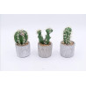 CACTUS ARTIFICIELS EN POT, HAUT. 22 à 26 CM – DECORATIONS – Arteverdeco