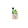 CACTUS ARTIFICIELS EN POT ROND, HAUT. 14 à 16 CM – DECORATIONS – Arteverdeco