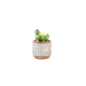 CACTUS ARTIFICIELS EN POT ROND, HAUT. 14 à 16 CM – DECORATIONS – Arteverdeco