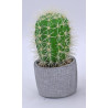 CACTUS ARTIFICIELS EN POT, HAUT. 14 à 16 CM – DECORATIONS – Arteverdeco