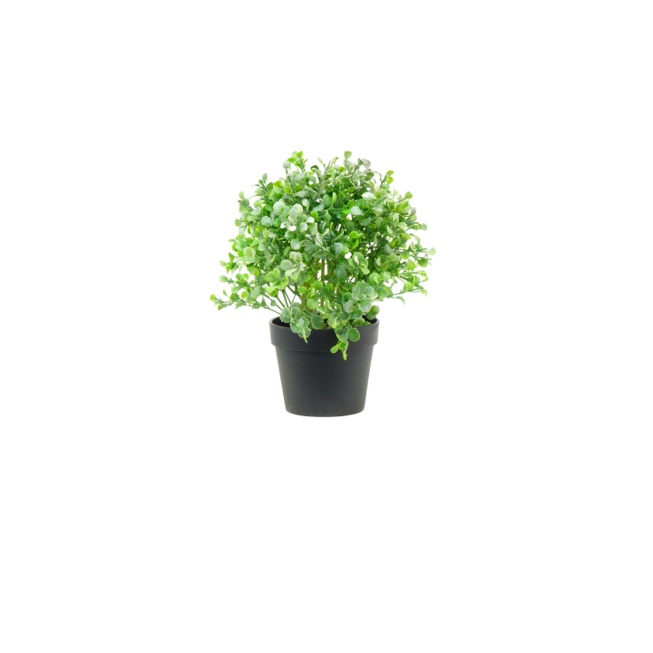 PLANTES VERTES ARTIFICIELLES EN POT, HAUT. 21 à 23 CM – DECORATIONS – Arteverdeco