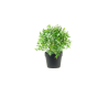 PLANTES VERTES ARTIFICIELLES EN POT, HAUT. 21 à 23 CM – DECORATIONS – Arteverdeco