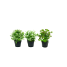 PLANTES VERTES ARTIFICIELLES EN POT, HAUT. 21 à 23 CM – DECORATIONS – Arteverdeco