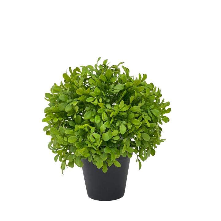 PLANTES VERTES ARTIFICIELLES EN POT, HAUT. 25 à 27 CM – DECORATIONS – Arteverdeco