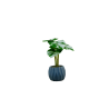 PLANTES VERTES ARTIFICIELLES EN POT CIMENT, HAUT. 30 CM – PLANTES – Arteverdeco