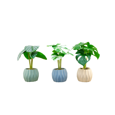 PLANTES VERTES ARTIFICIELLES EN POT, HAUT. 36 CM – PLANTES – Arteverdeco