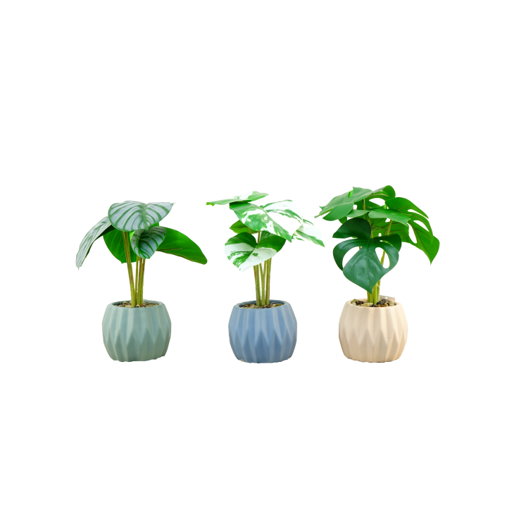 PLANTES VERTES ARTIFICIELLES EN POT CIMENT, HAUT. 30 CM – PLANTES – Arteverdeco