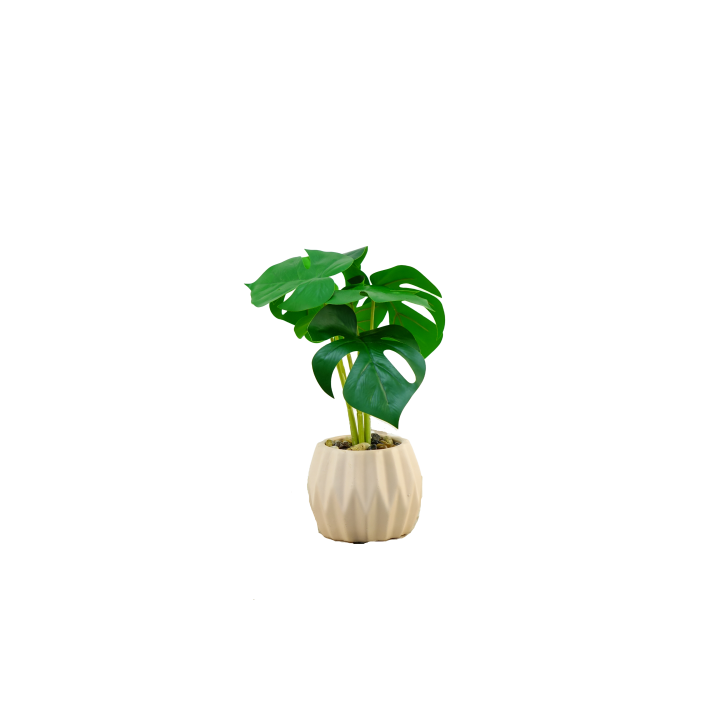 PLANTES VERTES ARTIFICIELLES EN POT CIMENT, HAUT. 30 CM – PLANTES – Arteverdeco