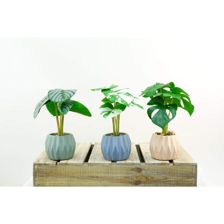 PLANTES VERTES ARTIFICIELLES EN POT CIMENT, HAUT. 30 CM – PLANTES – Arteverdeco