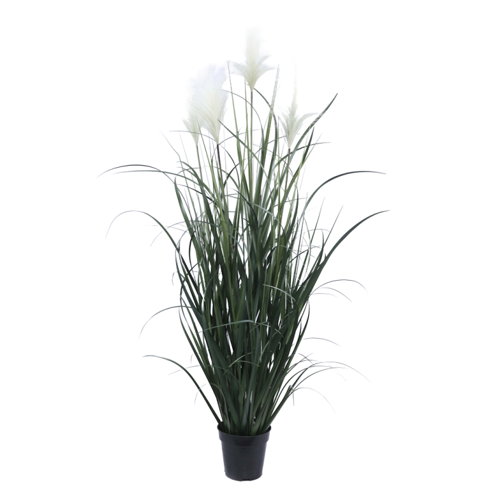 HERBE PAMPA ARTIFICIELLE EN POT, HAUT. 125 CM – PLANTES – Arteverdeco