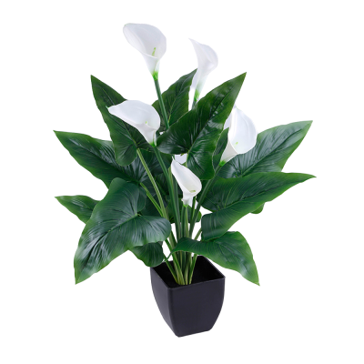 FEUILLES D'ARUM + FLEURS ARTIFICIELLES EN POT, HAUT. 76 CM – PLANTES – Arteverdeco