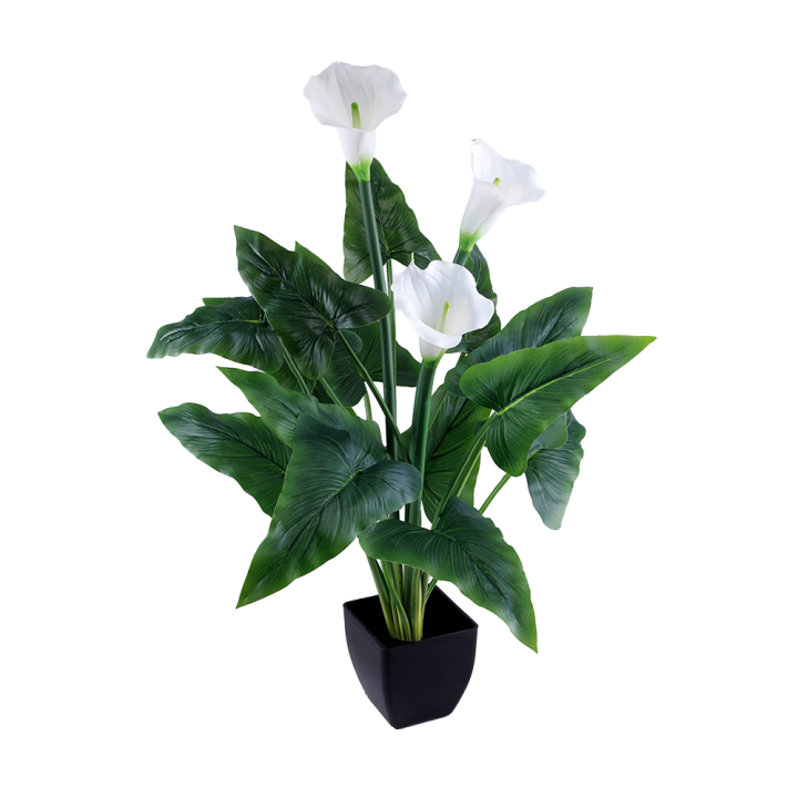 FEUILLES D'ARUM + FLEURS ARTIFICIELLES EN POT, HAUT. 76 CM – PLANTES – Arteverdeco