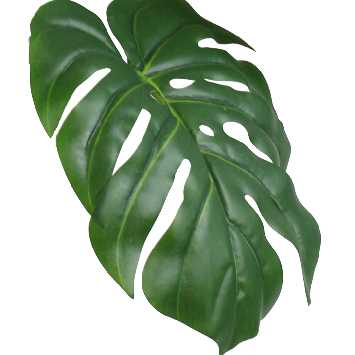 MONSTERA ARTIFICIEL EN POT, HAUT. 57 CM – PLANTES – Arteverdeco