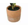 FIGUIER ARTIFICIEL EN POT, HAUT. 50 CM – PLANTES – Arteverdeco