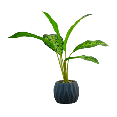 CAOUTCHOUC ARTIFICIEL EN POT, HAUT. 120 CM – PLANTES – Arteverdeco