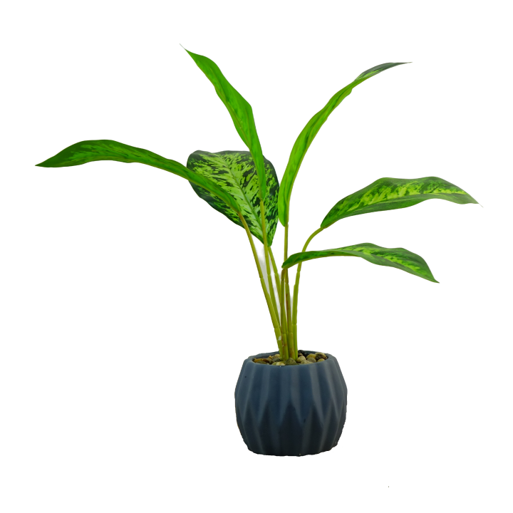 DIEFFENBACHIA ARTIFICIEL EN POT, HAUT. 45 CM – PLANTES – Arteverdeco