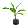 DIEFFENBACHIA ARTIFICIEL EN POT, HAUT. 45 CM – PLANTES – Arteverdeco