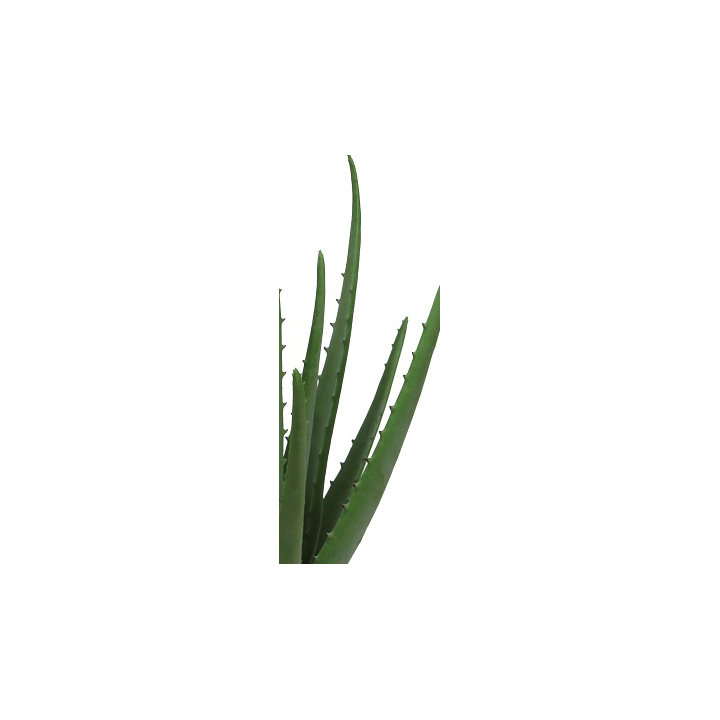 ALOE VERA ARTIFICIEL EN POT, HAUT. 38 CM – PLANTES – Arteverdeco